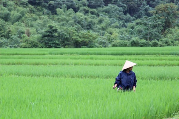 Jour 03 : Hanoi - Mai Chau