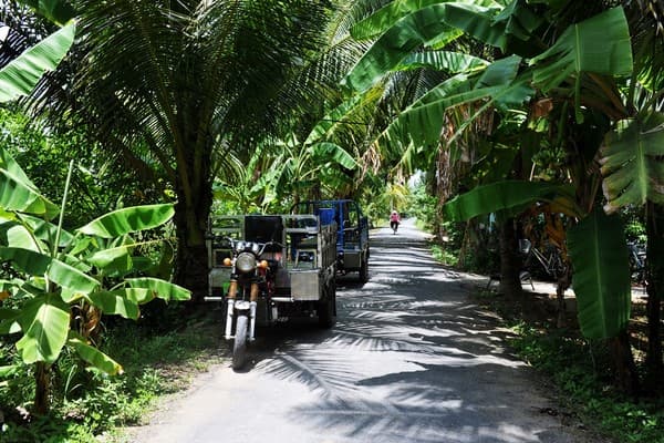 Jour 12 : Saigon - Ben Tre - Cai Be