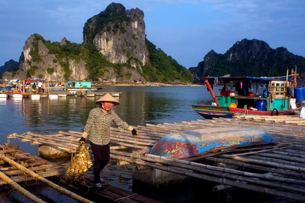 Jour 13 : Baie d’Halong - Hanoi