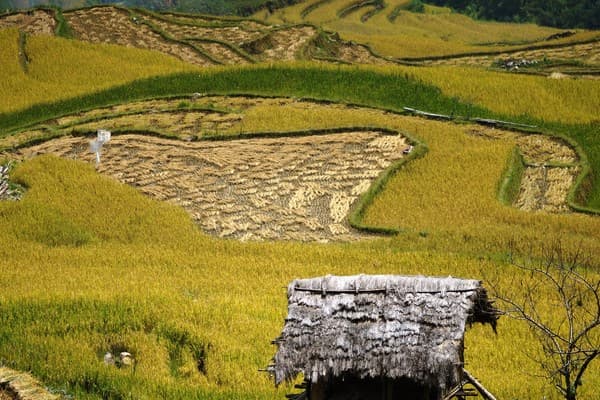 Jour 05 : Muong Lo - Mu Cang Chai