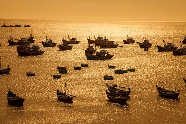 Jour 15 : Saigon - Mui Ne