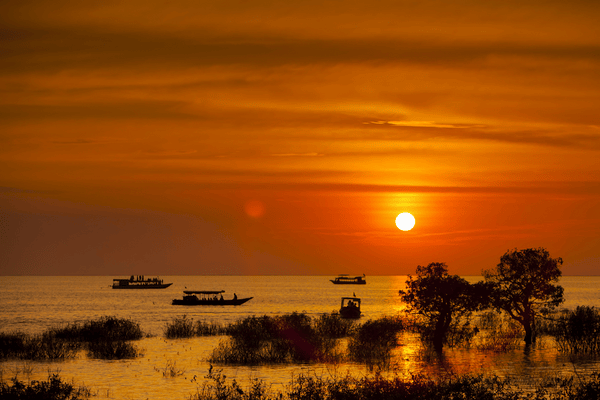 Jour 09 : Siem Reap - Kompong Phluk - Battambang