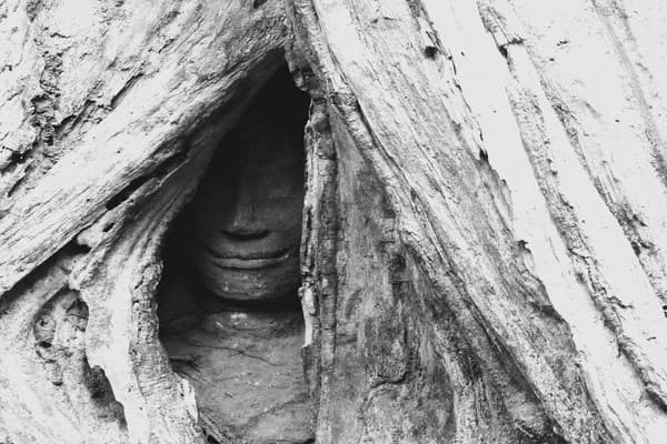 Jour 03 : Siem Reap - village de Pradak - Pre Rup - Ta Prohm