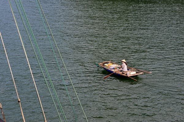 Jour 07 : Ninh Binh - Baie de Bai Tu Long