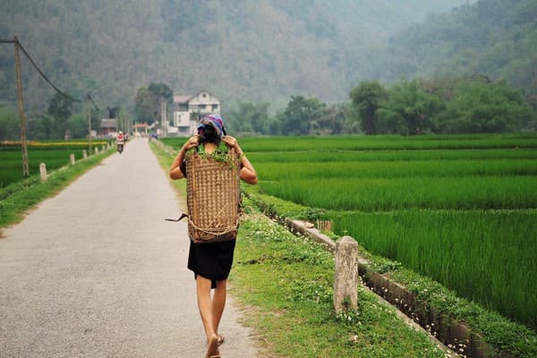 Jour 01 : Hanoi - Mai Chau