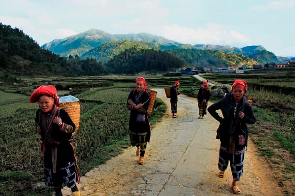 Jour 07 : Lai Chau - Sapa