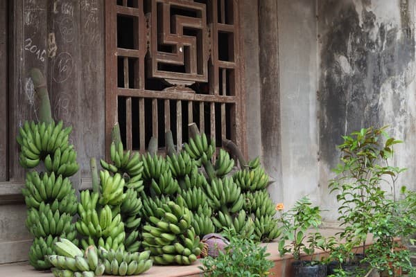 Jour 01 : Hanoi arrivée