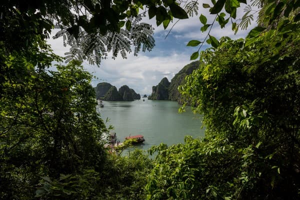 Jour 06 : Tam Coc - Halong