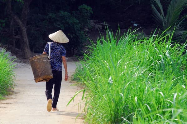 Jour 03 : Hanoi - Mai Chau