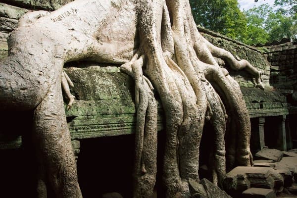 Jour 13 : Siem Reap - Petit Circuit - Grand Circuit