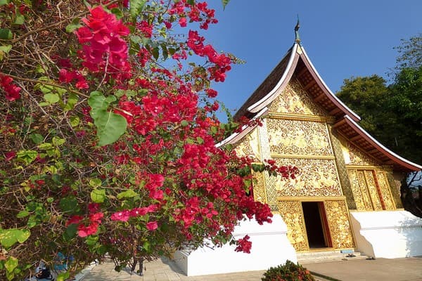 Jour 05 : Hanoi - Vol pour Luang Prabang