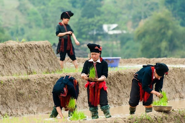 Jour 01 : Thong Nguyen - Nam Hong