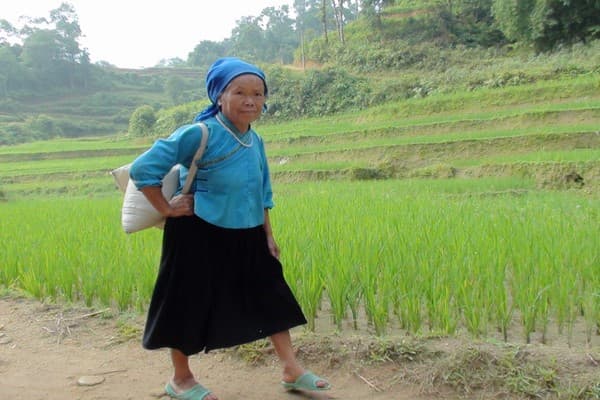 Jour 02 : Ho Thau - Ban Van - Suoi Thau