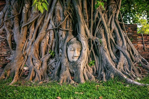 Jour 05 : Ayutthaya - Visite de la ville – Retour à Bangkok
