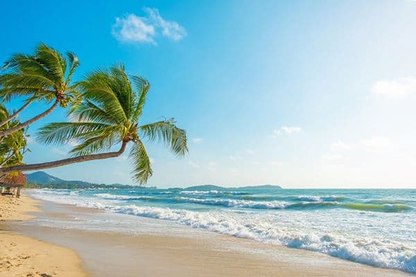 Jour 06 : Bangkok – Vol pour Koh Samui - Temps libre | Sans guide