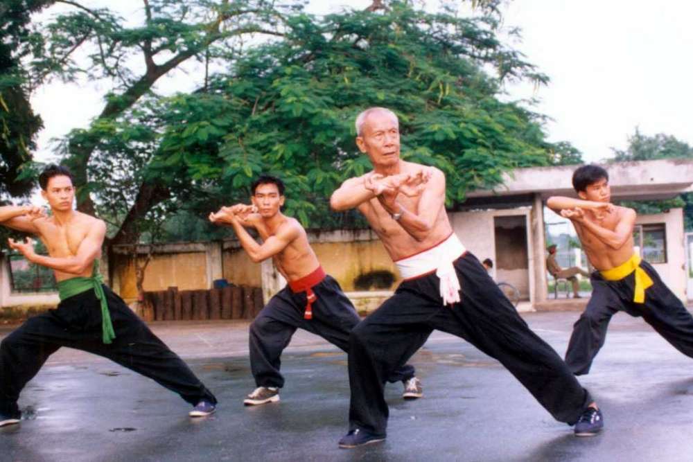 arts martiaux vietnam - vo co truyen