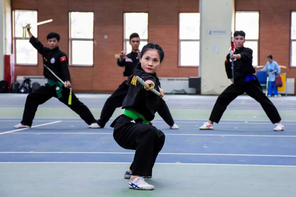 arts martiaux vietnam - vo co truyen