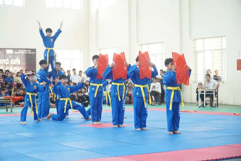 art martiaux vietnam - vovinam