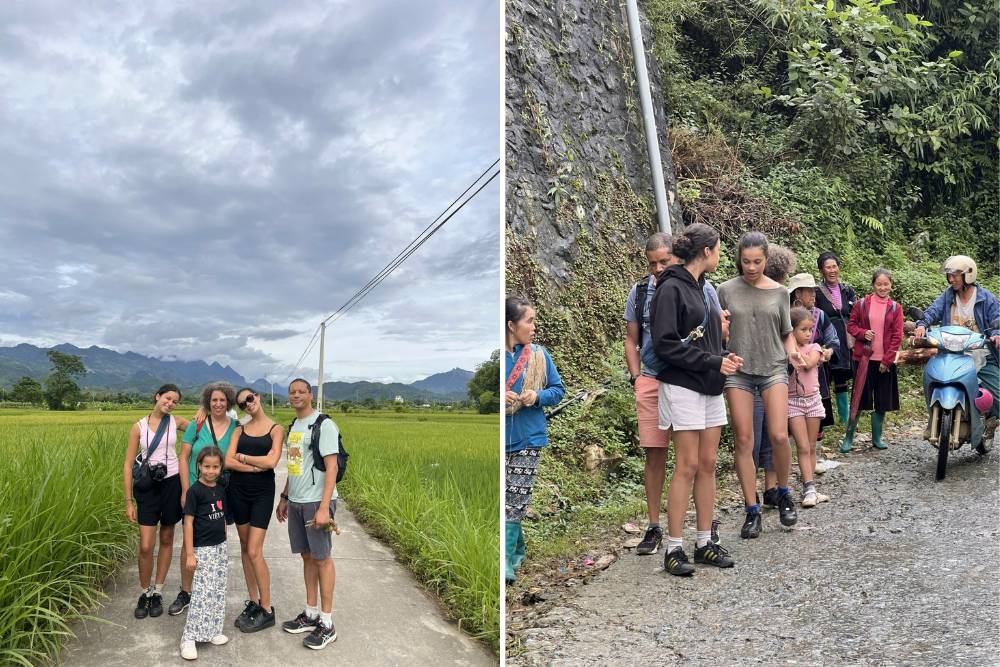 avis asiatica travel