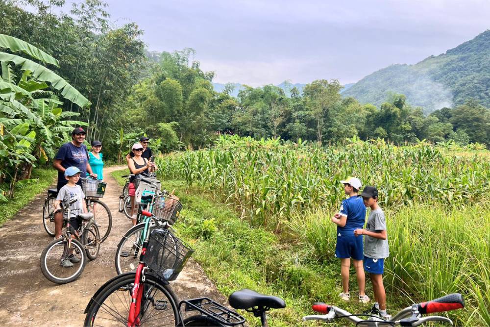 voyageurs d'Asiatica Travel font du vélo au milieu de la nature verdoyante