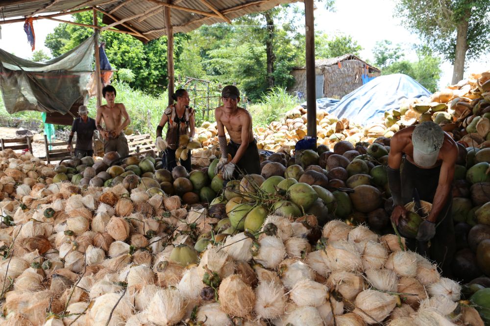 ben tre, delta du mékong, vietnam, ateliers de coco, transformation de noix de coco, artisanat