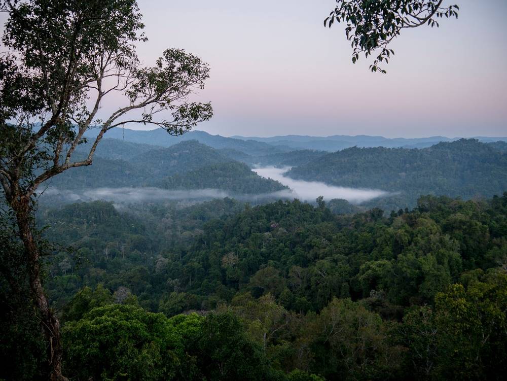 Guide Complet pour Visiter Bokeo, Laos