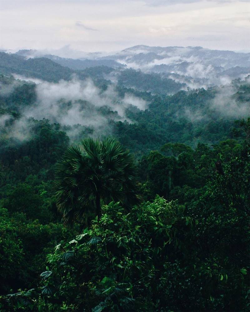 Guide Complet pour Visiter Bokeo, Laos