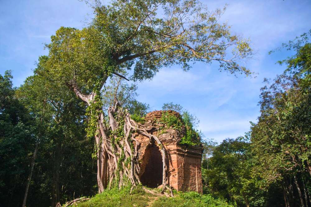un temple de Sambor Prei Kuk envahi par un arbre à Kampong Thom au Cambodge en décembre