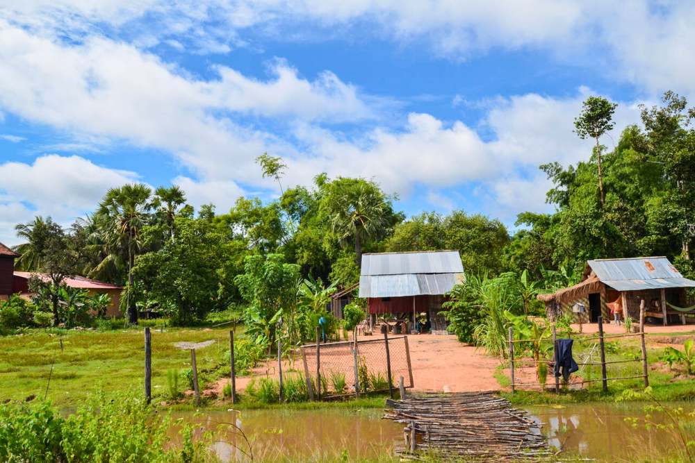 La campagne plein d'eau et de vie du Cambodge en septembre