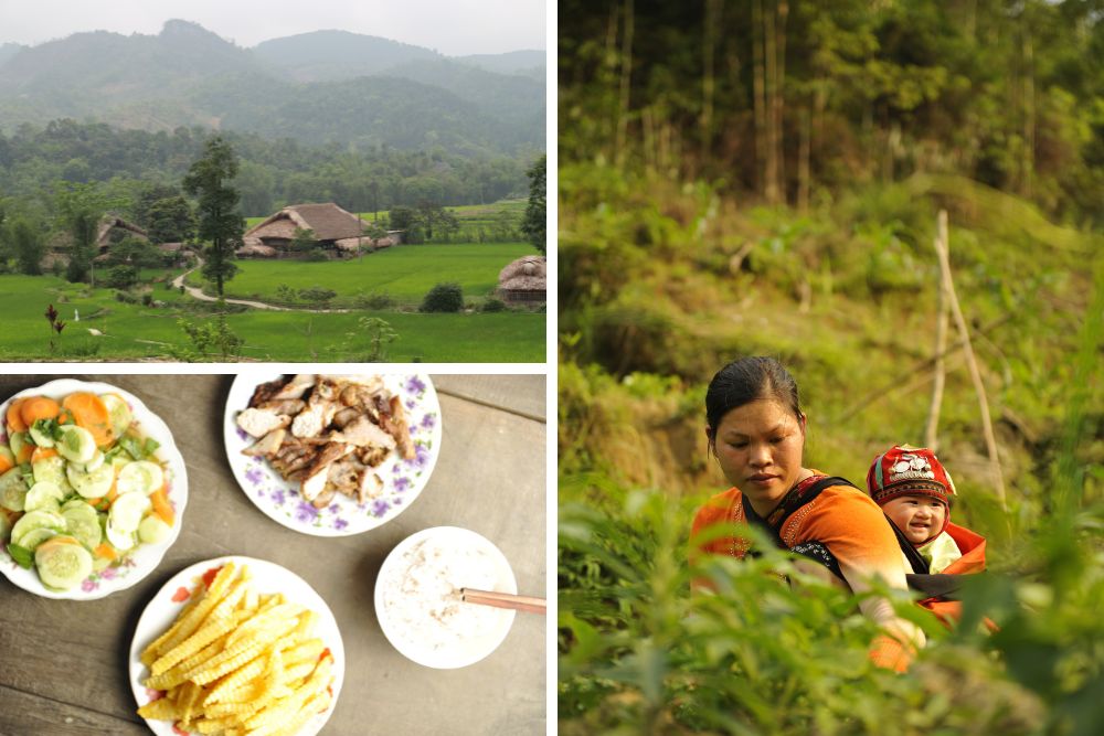 chez l'habitant a ha giang, chez l'habitant ha thanh