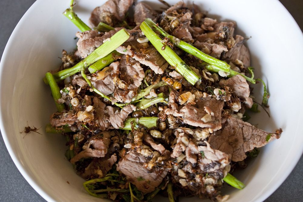 cuisine cambodgienne, plat cambodgien, fourmis rouges