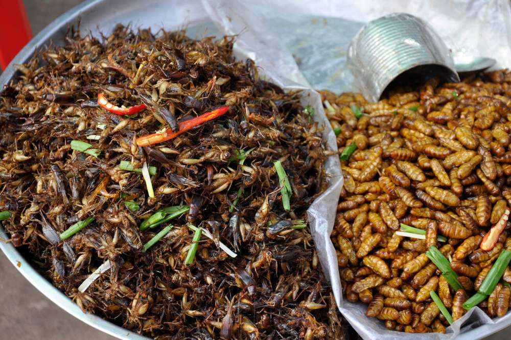 cuisine cambodgienne, plat cambodgien, insectes frits