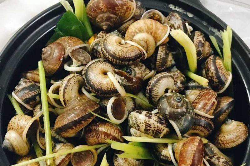 cuisine de l'ethnie thai, mai chau, escargot de montagne