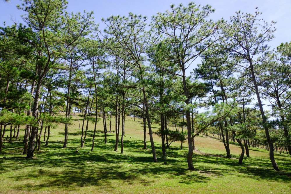 Dalat au Vietnam