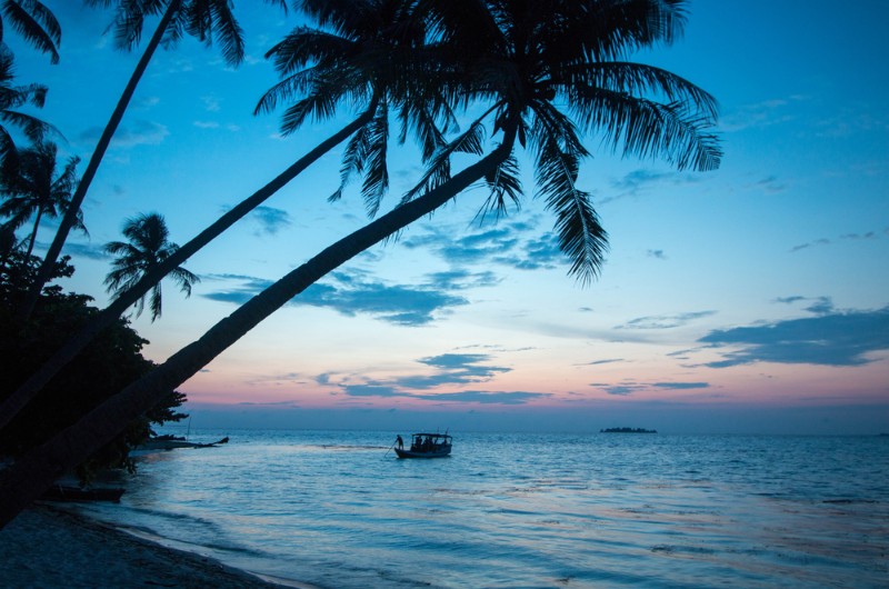 ile, indonesie, voyage, asiatica travel, mer, plage, karimanjawa, coucher soleil, cocotier