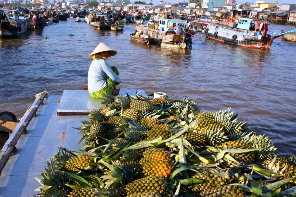 itinéraire delta mékong, can tho, marché flottant cai rang