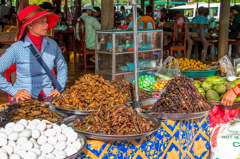 kampong cham, voyage kampong cham, cambodge, voyage cambodge, voyage, asiatica travel, marche, vendeuse, insects