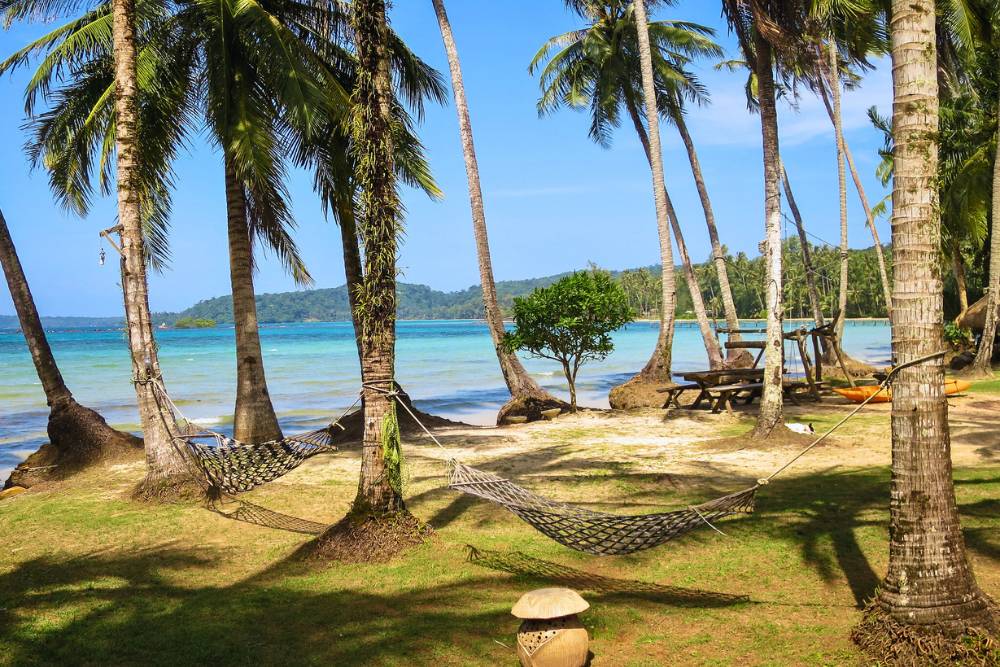 cocotiers sur la plage de Ngam Kho à île de Koh Kood, Thaïlande