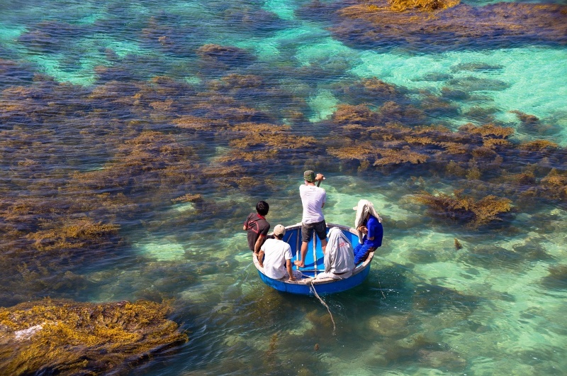 plus belles îles du Vietnam, île du Vietnam, voyage vietnam, circuit vietnam, séjour vietnam, séjour balnéaire vietnam, île de Ly Son, bateau panier, recifs coralliens