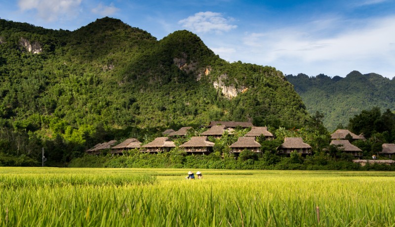 vue panoramique de Mai Chau Ecolodge