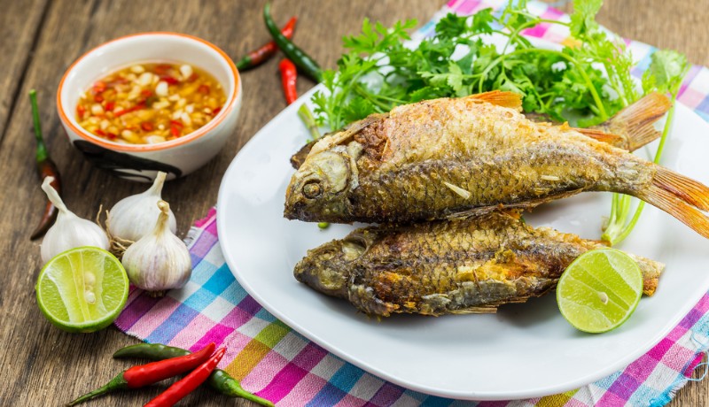 une assiette de poisson grillé à Mai Chau, Vietnam