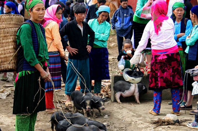 marche ethnique, nord vietnam, vietnam, voyage, asiatica travel, marche meo vac