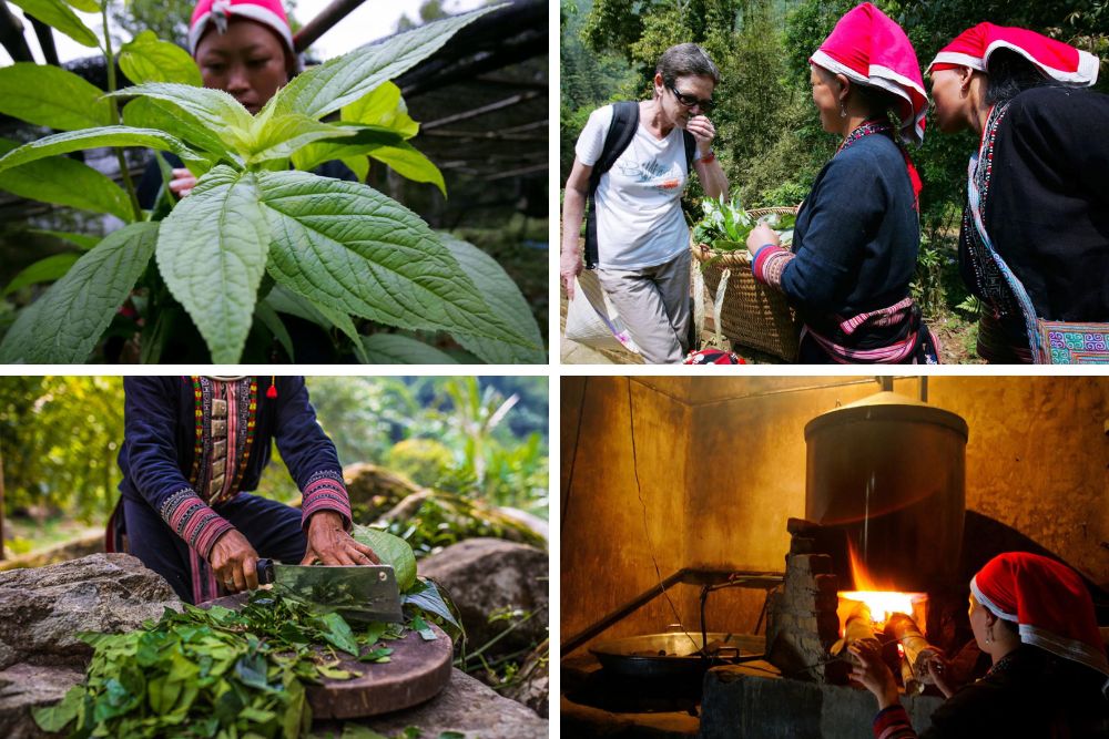 massage au vietnam, massage vietnamien, bien être, détente, femmes Dao Rouge préparent le bain aux herbes traditionnels, voyage au vietnam