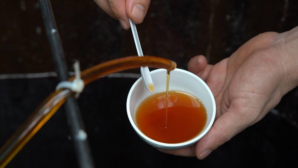 Nuoc mam : histoire et recette de la fameuse sauce vietnamienne