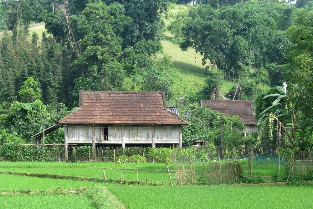 Parc national de Cuc Phuong, village des muong