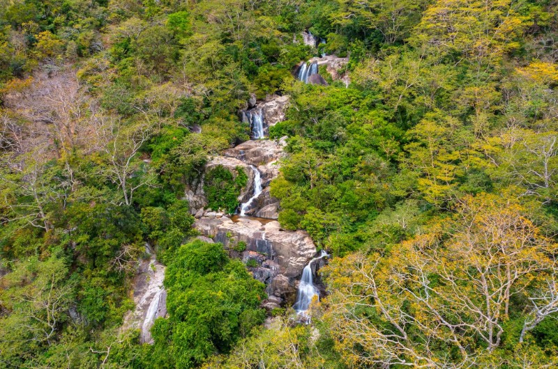 parc national vietnam, parcs nationaux vietnam, parc national nui chua, nature