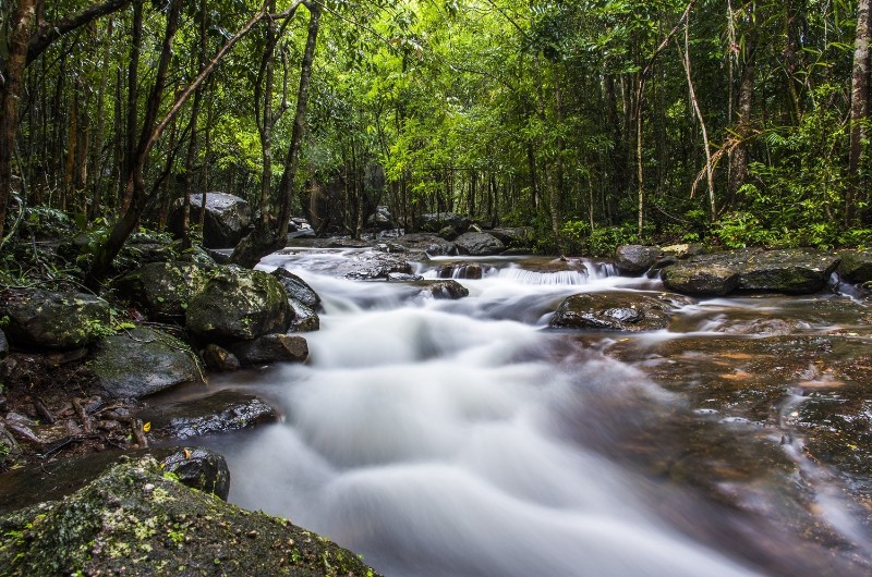 parc national vietnam, parcs nationaux vietnam, parc national phu quoc