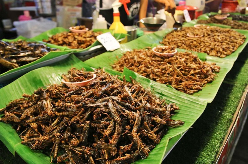 plat laotien, cuisine laotienne, specialites laotiennes, laos, insectes