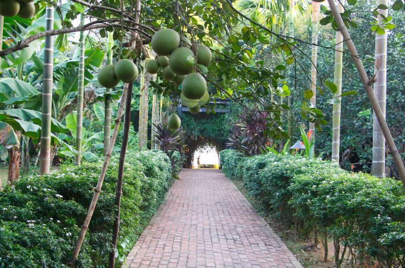 plus beaux villages du Vietnam à visiter, village thuy bieu, hue, vietnam, voyage vietnam