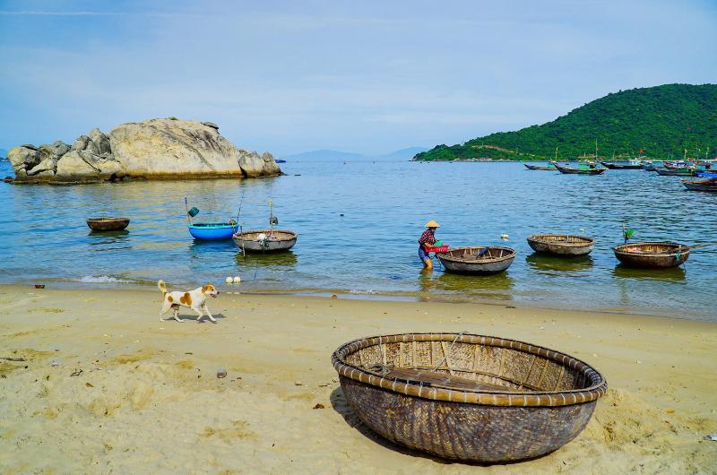 plus belles îles du Vietnam, île du Vietnam, voyage vietnam, circuit vietnam, séjour vietnam, séjour balnéaire vietnam, île de Cu Lao Cham, île de Cham, pêcheur sur île Cu Lao Cham, bateaux sur île de Cu Lao Cham, habitant local et chien sur la plage